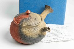 Mori Iroku IV Yohen Kyusu - 130ml