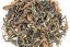 2003 Vintage Oriental Beauty - 50g - Váha: 25g