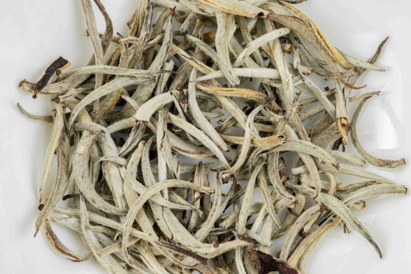 Java High Mountain Platinum Tips 5/2025 - 30g