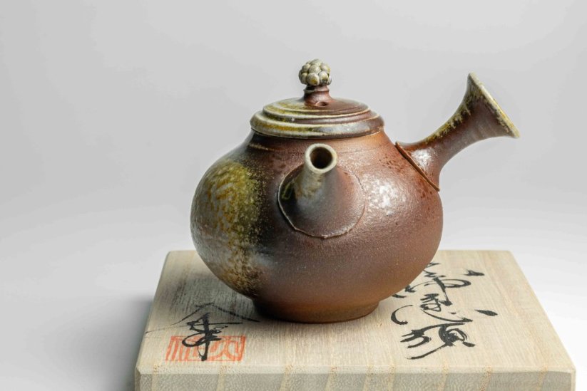 Taisuke Shiraiwa Yohen Kyusu  - 170ml