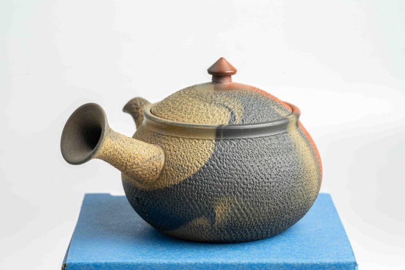 Mori Iroku IV Yohen Kyusu - 130ml