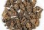 Yunnan Cha Tou - Shu Nuggets 2015 - 50g