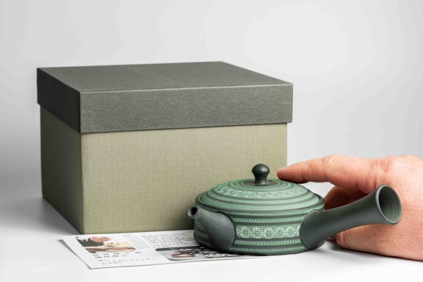 Teruyuki Isobe Hira Kyusu - 170ml