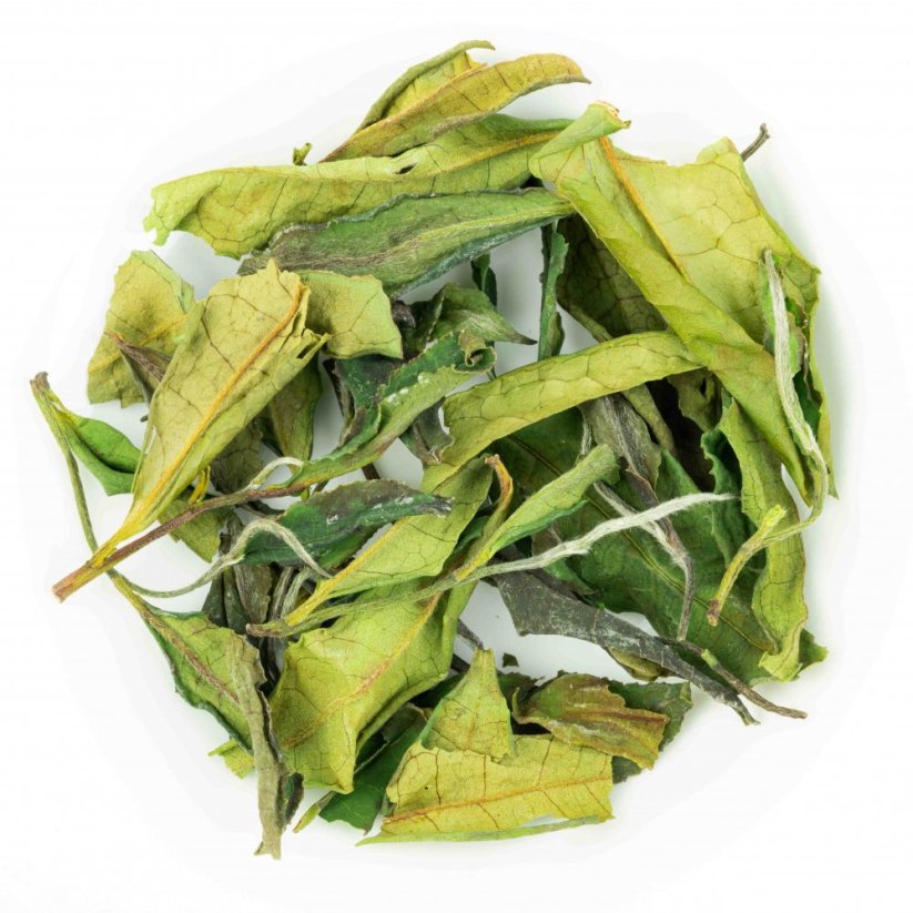 Qi Yun TTES.23 PQM 2025 - 50g