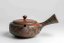 Hozan Sawada Nerikomi Hira Kyusu - 200ml