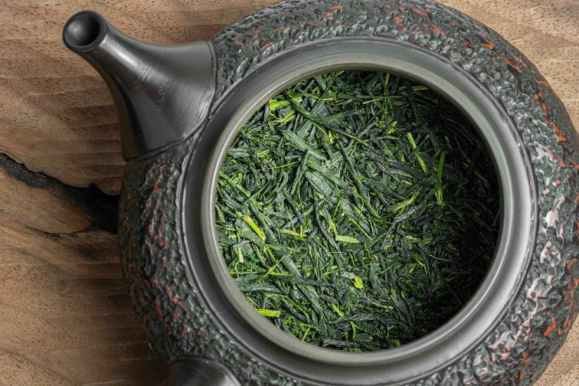 Shincha Kamo Asanoka Fukamushi 2026 - 50g