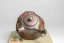 Konishi Yohei Sunflower Kyusu - 150ml