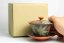 Seiho - Tsuzuki Takao Momiji Gaiwan - 110ml