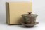 Seiho - Tsuzuki Takao Momiji Gaiwan - 100ml