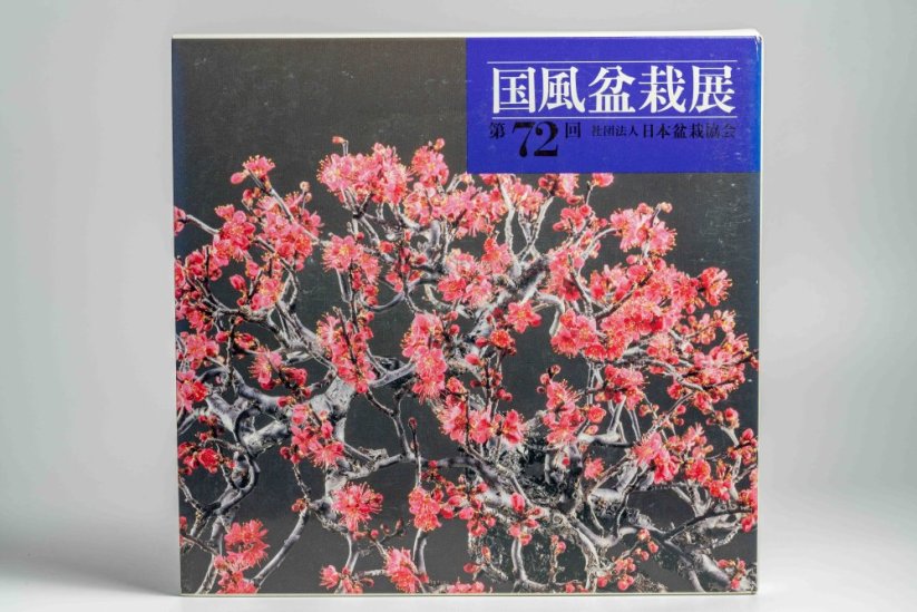 Kokufu Ten  Exhibit Books - Ročník: No.81