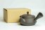 Hirotaka Umehara Fuji Shape Kyusu - 240ml