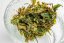 Darjeeling Giddapahar SFTGFOP1 FF2025 - 50g