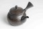 Reiko Vintage Black Red Flowers Kyusu - 240ml