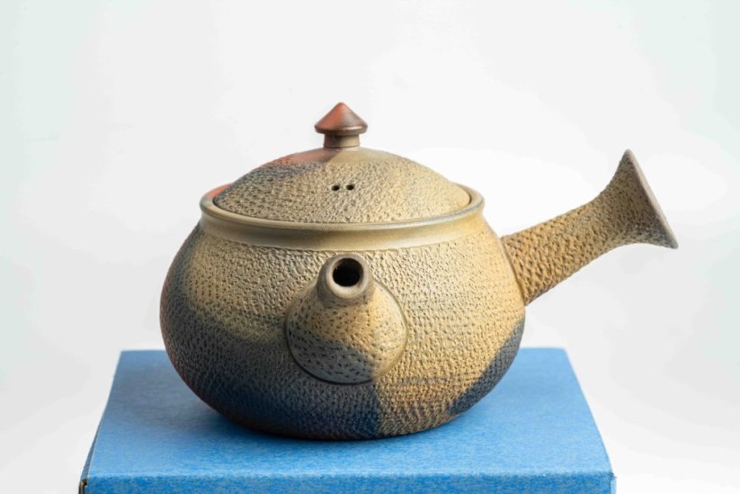 Mori Iroku IV Yohen Kyusu - 130ml