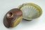 J. Steel Anagama Shiboridashi no.2 - 75ml