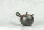 Tokoname Kyusu - 230ml