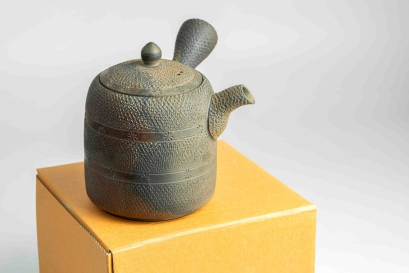 Mori Iroku IV Yohen Kyusu - 180ml