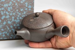 Keiichiro Watanabe Kyusu - 230 ml