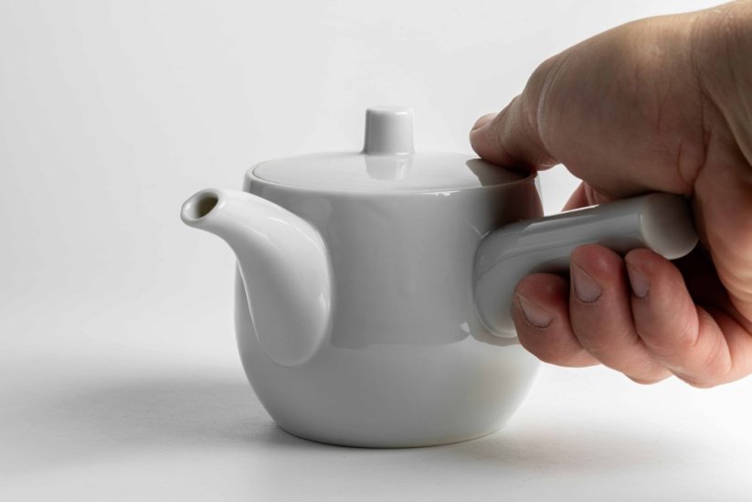 Mino Ware Porcelain Kyusu - 300ml