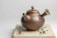 Taisuke Shiraiwa Yohen Kyusu  - 170ml