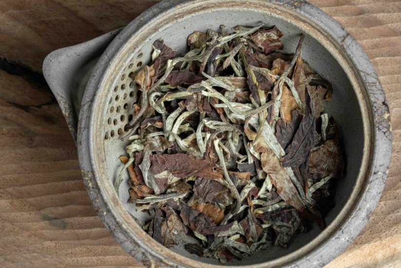 Chiang Rai Gushu Bai Cha 2026 - 100g