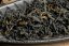 Hoang Lien Son Mountain Black Forest 2025 - 30g