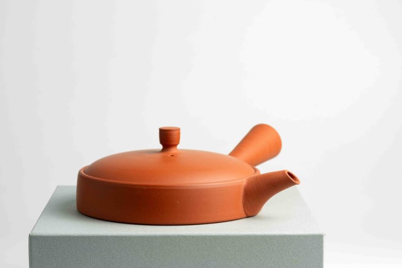 Jinshu Hira Shudei Kyusu - 100ml
