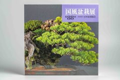 Kokufu Ten  Exhibit Books