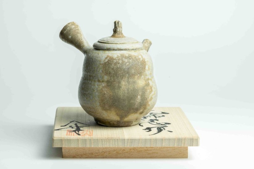 Taisuke Shiraiwa Yohen Kyusu  - 170ml