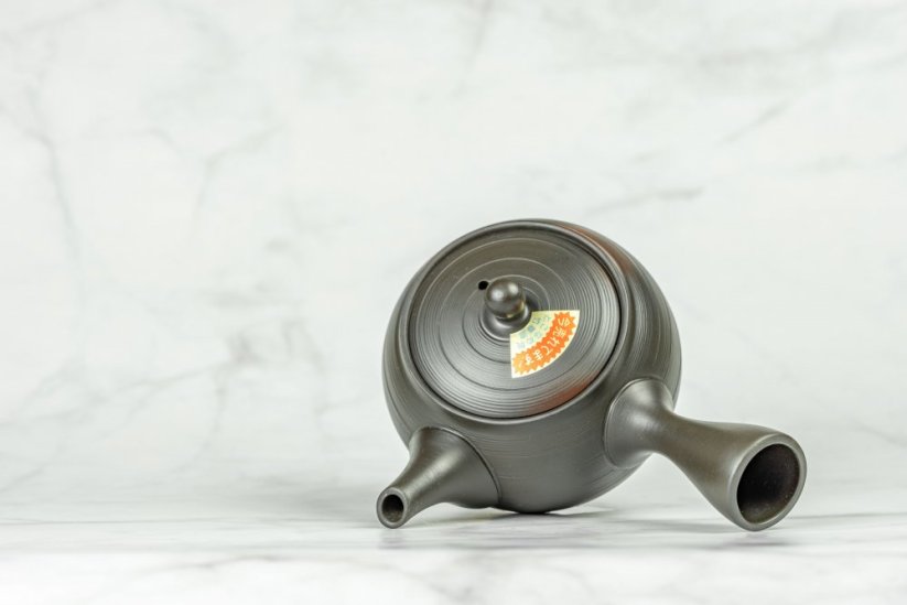Tokoname Kyusu - 230ml
