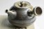 Taisuke Shiraiwa Yohen Kyusu  - 190ml