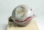 Jhang Jhensing Typhoon Glaze Pot  - 160ml
