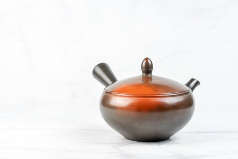 Koji Iwase Kyusu - 240 ml