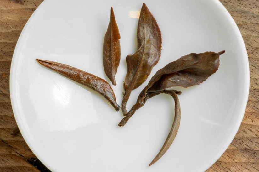 Zuo Ruyu I-Lan Golden White Tip Oolong 2023 - Váha: 30g