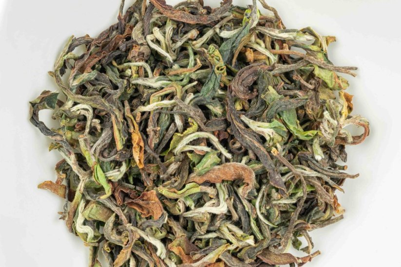 Darjeeling Rohini Jethi Kupi FF2026 - 50g