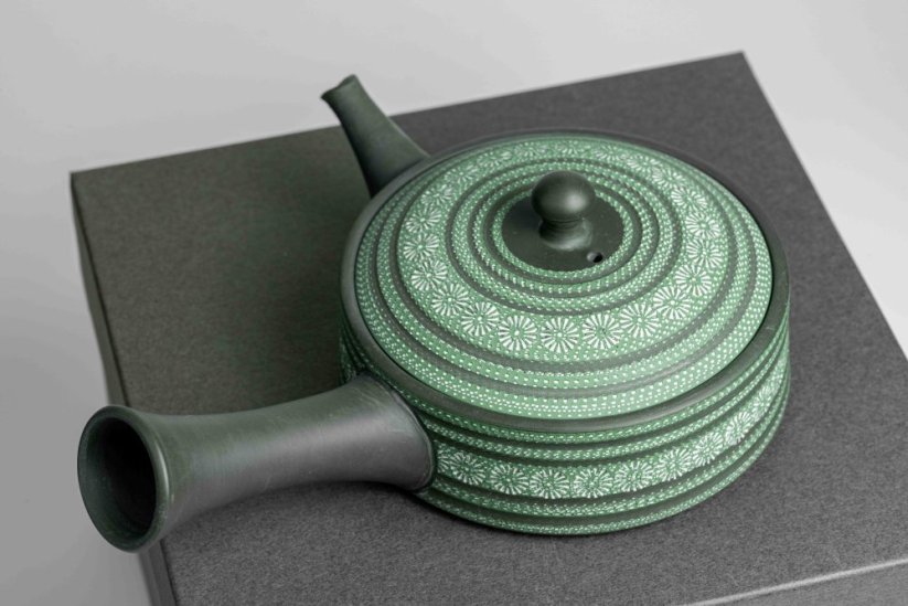 Teruyuki Isobe Hira Kyusu - 170ml