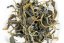 Java Pasundan Beauty Oolong 1/2025 - 30g