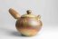 Kyusu Earth No.2 - 280ml