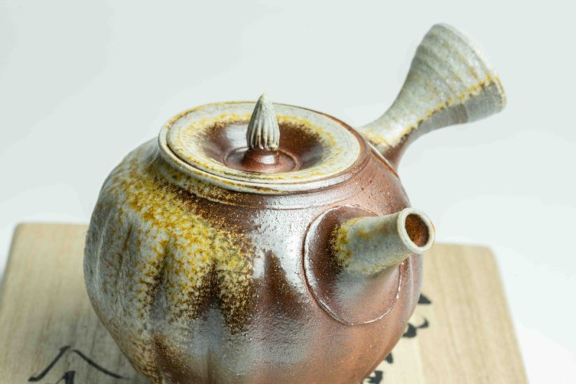 Taisuke Shiraiwa Yohen Kyusu  - 150ml