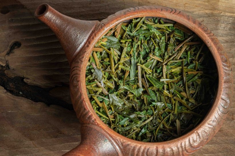 Kagoshima Ao Hojicha Kaguwashi 2025 - 50g