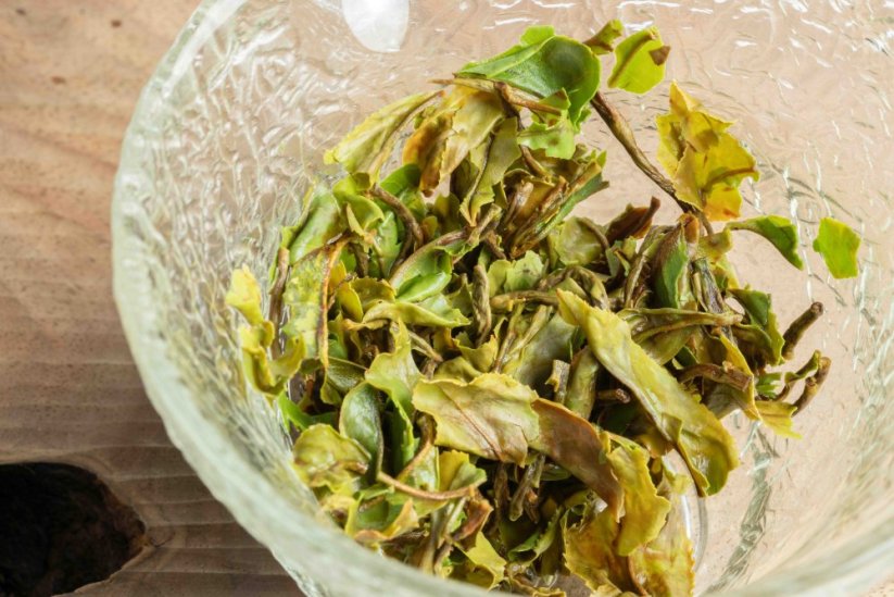 Darjeeling Giddapahar Wonder FF2025 - 50g