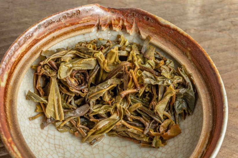 Jungle Flow - Chiang Rai Gushu Sheng 3/2024 - 100g