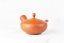 Tokoname Kyusu - 125ml
