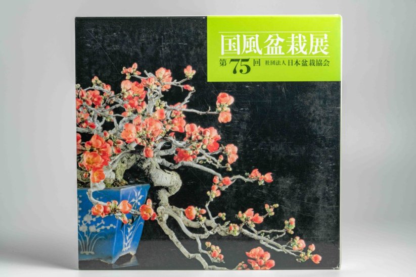 Kokufu Ten  Exhibit Books - Ročník: No.81