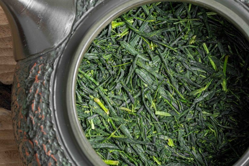 Shincha Kamo Asanoka Fukamushi 2026 - 50g