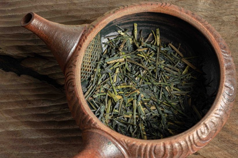 Kagoshima Ao Hojicha Kaguwashi 2025 - 50g