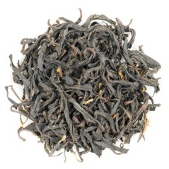 Zuo Ruyu Hualien Da-Ye Black 2015