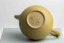 Jinshu Mogake Teapot - 130 ml