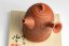 Konishi Yohei Kyusu Flower Carving - 250ml