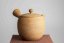 Shinzan Morioka Vintage Kyusu - 250ml